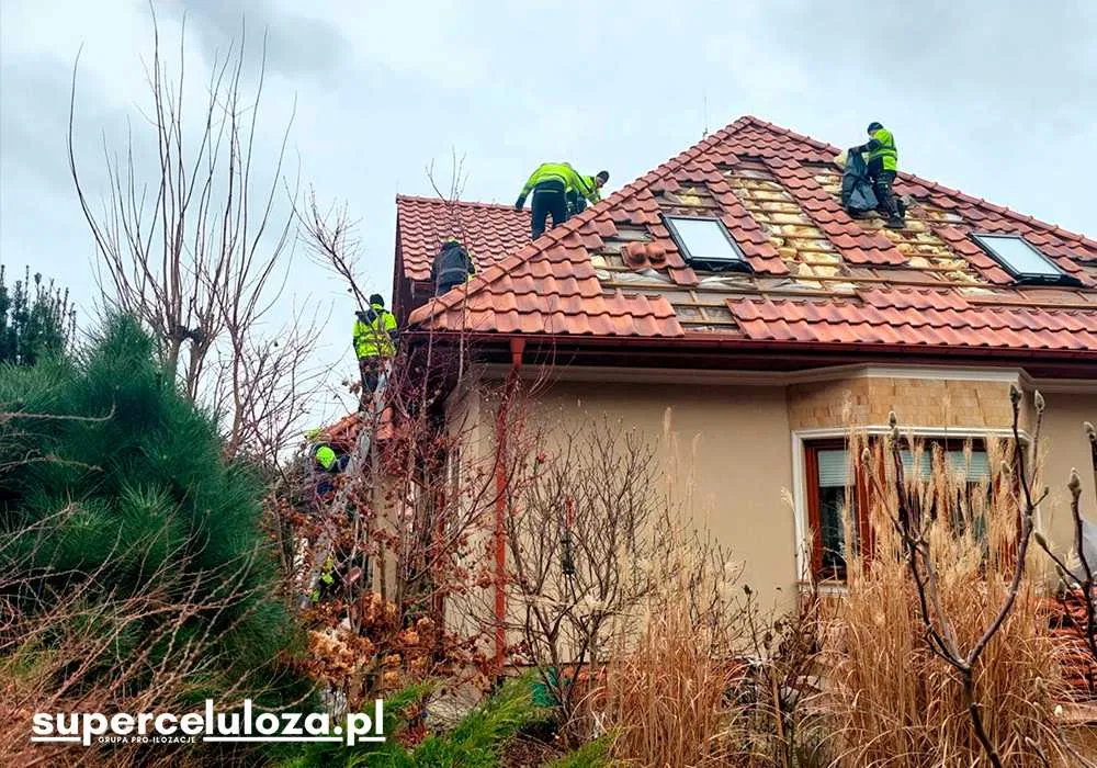 Naprawa dachu po kunach | Izolacja celulozą | Termowizja | KUNY