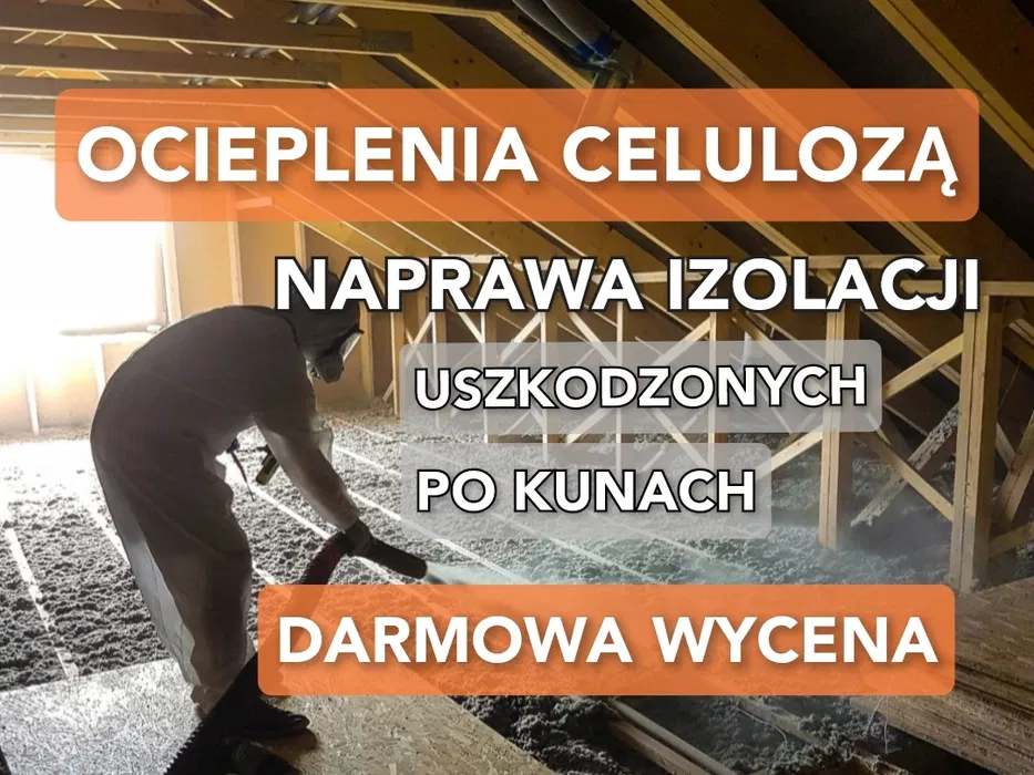 Ocieplenia Pianą PUR, Ocieplenie, Piana PUR, wełna, celuloza