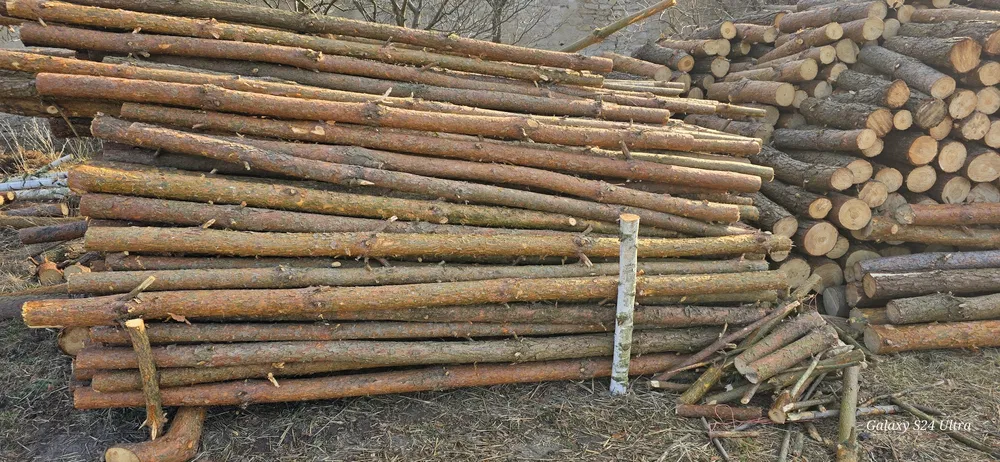 Wypożyczalnia szalunków wynajem szalunków szalunki stemple