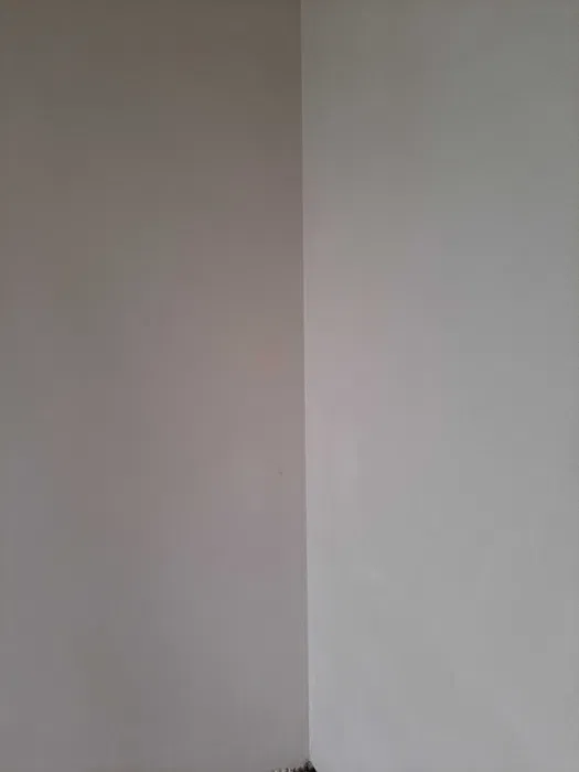 Tynki maszynowe gipsowe cementowo wapienne