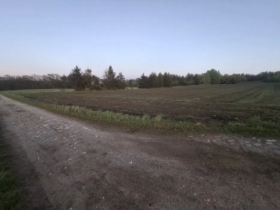 Usługi ogólnobudowlane, budowa domów, wykończenia wnętrz