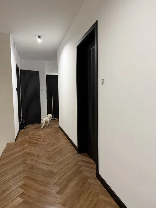 Elewacje/Usługi budowlane/wykończenia wnętrz