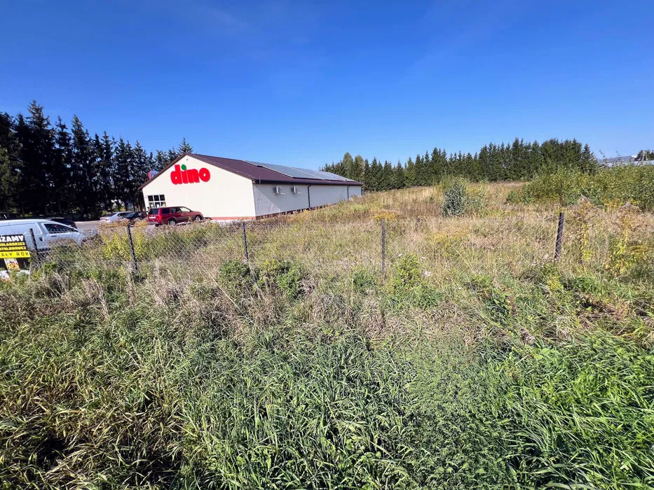 Wypożyczalnia rusztowań montaż transport