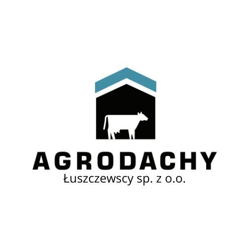 Naprawa dachów świetlików dachowych wymiana dachu zdjęcie eternitu