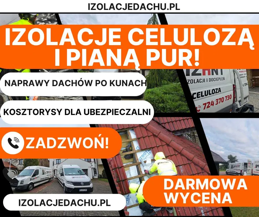 Naprawy dachów po kunach / kuna na dachu / Izolacje pianą i celulozą