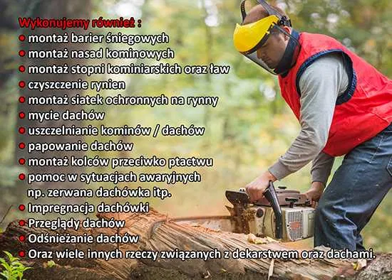 Malowanie Naprawy Mycie Dachów / Czyszczenie rynien / DEKARZ