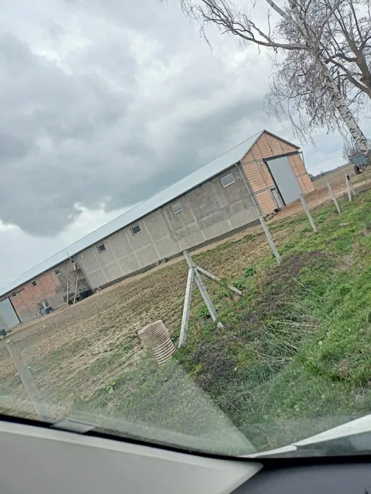 Tynki maszynowe Kalisz Pleszew Ostrów Grabów