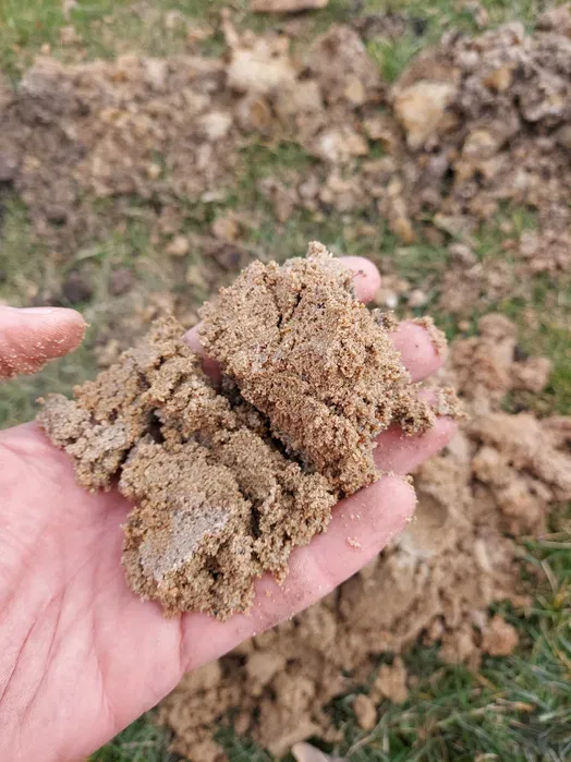 Geolog: Opinia Geotechniczna, Odwierty, Badania Gruntu, Hydrogeologia