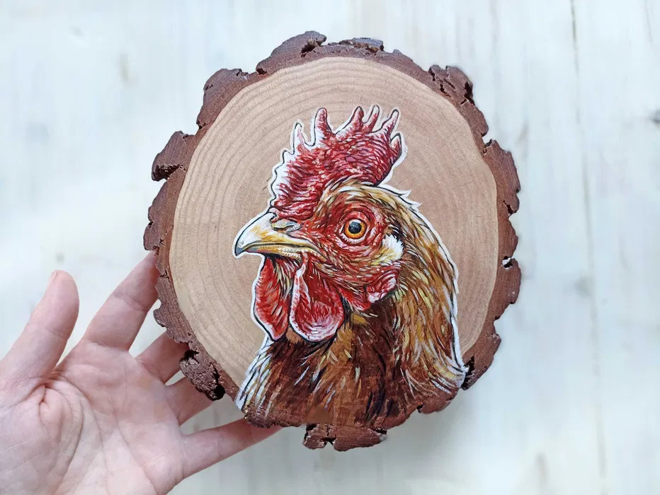 Rusztowania elewacyjne, szalunki stropowe najem