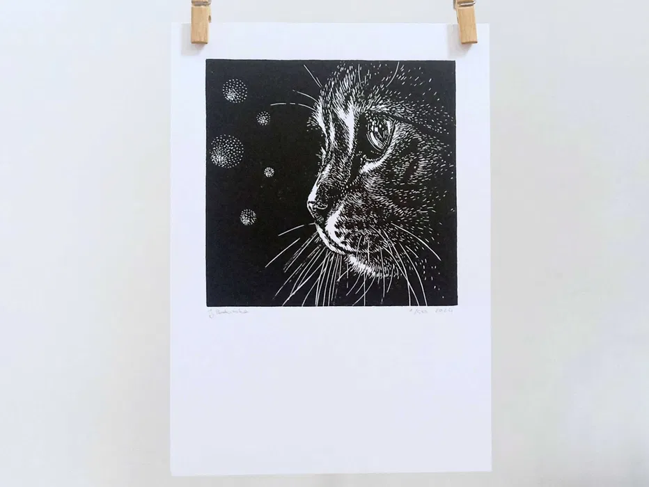 Rusztowania elewacyjne, szalunki stropowe najem