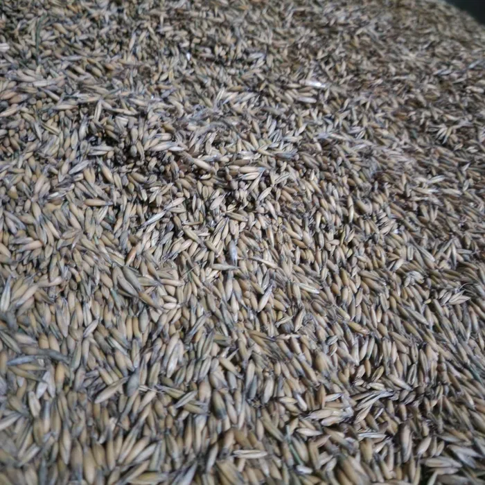 Wynajem szalunków typu tekko