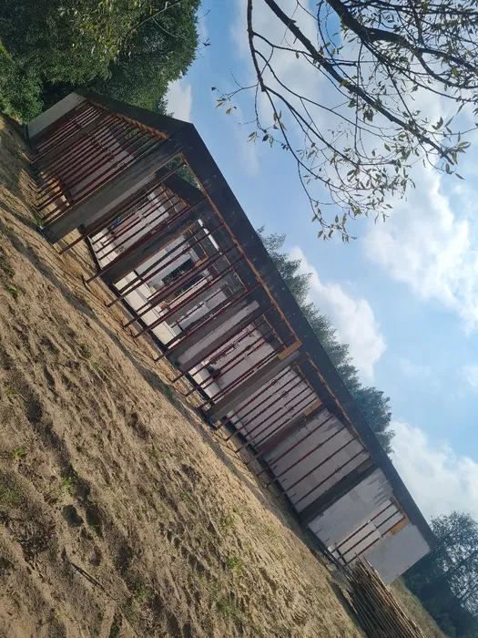 Budowa domów, Usługi ogólnobudowlane