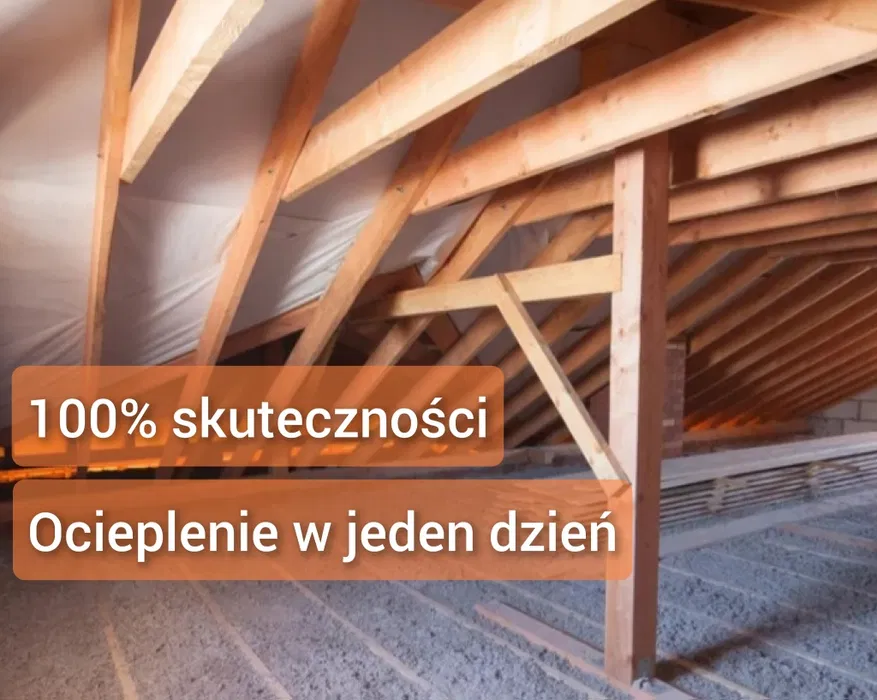 Ocieplenia celulozą, wełna, celulozowa, naprawa izolacji po kunach