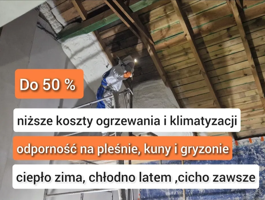 Ocieplenia celulozą, wełna, celulozowa, naprawa izolacji po kunach