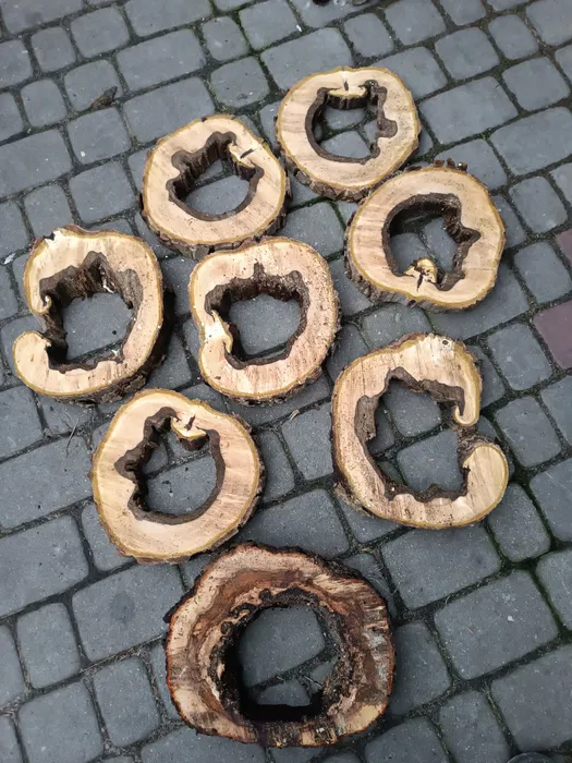 Wynajem rusztowan rusztowanie rusztowania warszawskie
