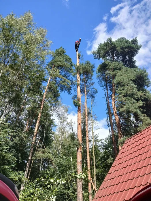 Rusztowanie warszawskie