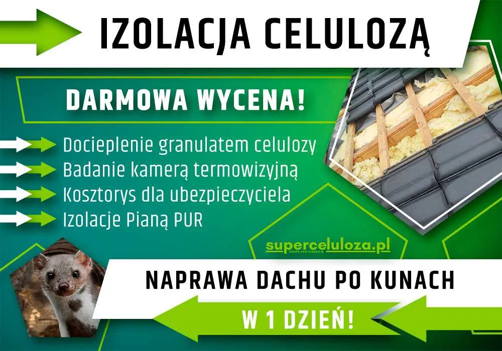 Wdmuchiwanie celulozy | Naprawa dachu po kunie | KUNY | UBEZPIECZENIE
