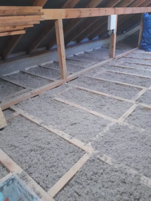 Wdmuchiwanie celulozy, naprawy izolacji po kunach, badanie kamerą term