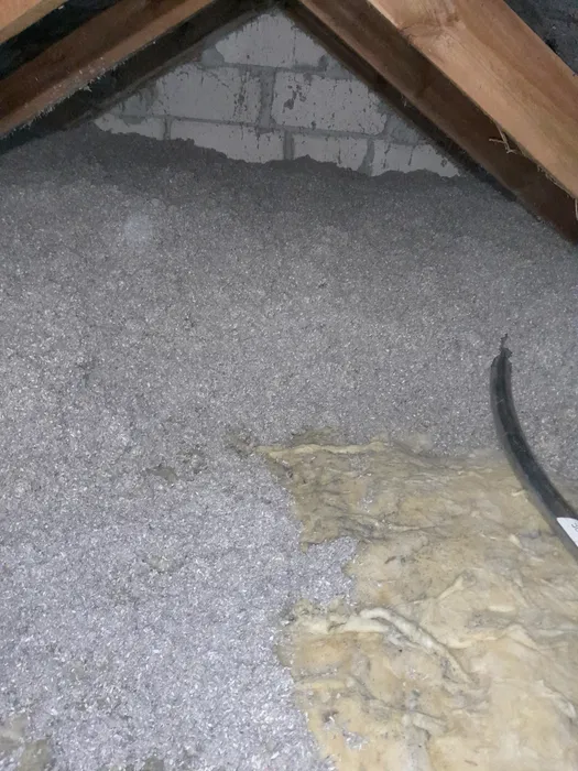 Wdmuchiwanie celulozy, naprawy izolacji po kunach, badanie kamerą term