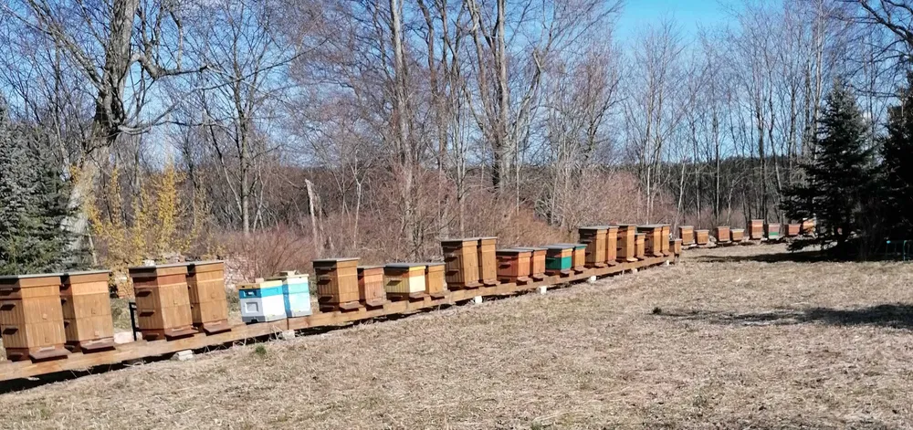 Wynajem ogrodzenia panelowego tymczasowego 3,5 X 2,0 m