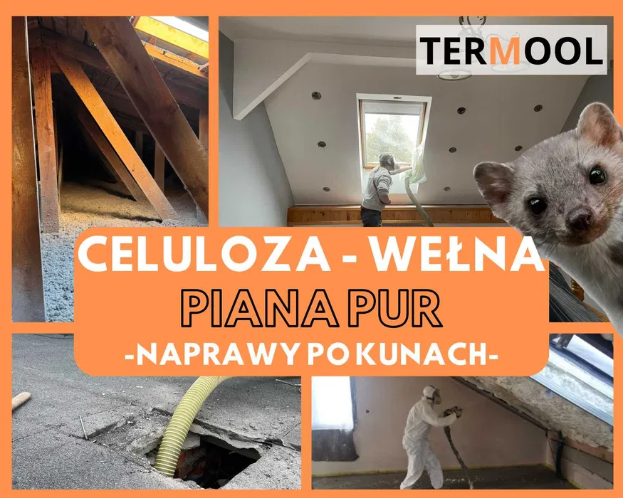 Ocieplenie Wełna, Celuloza, Naprawa Po KUNIE, Strop Docieplanie Wiązar