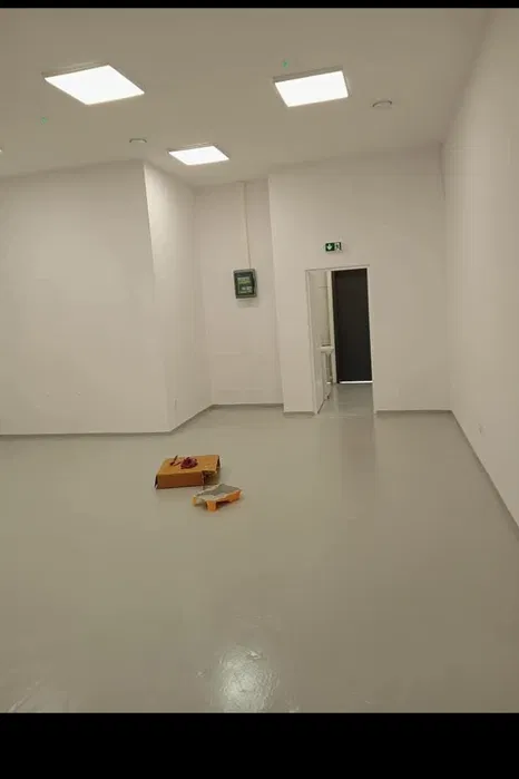 Usługi ogólno budowlane