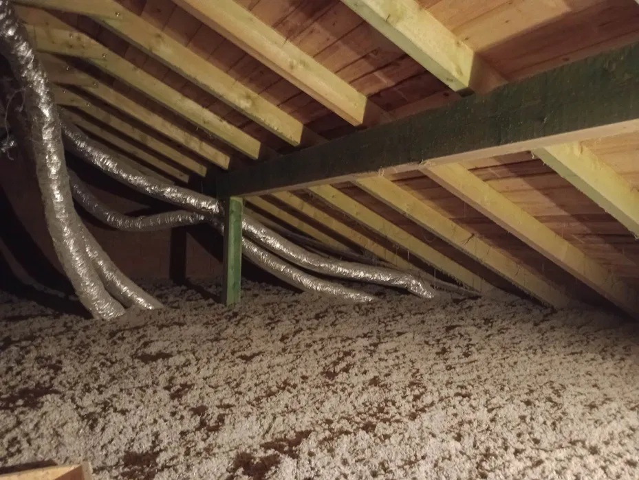 Wdmuchiwanie celulozy adaptacje poddaszy badanie kamerą termowizyjną