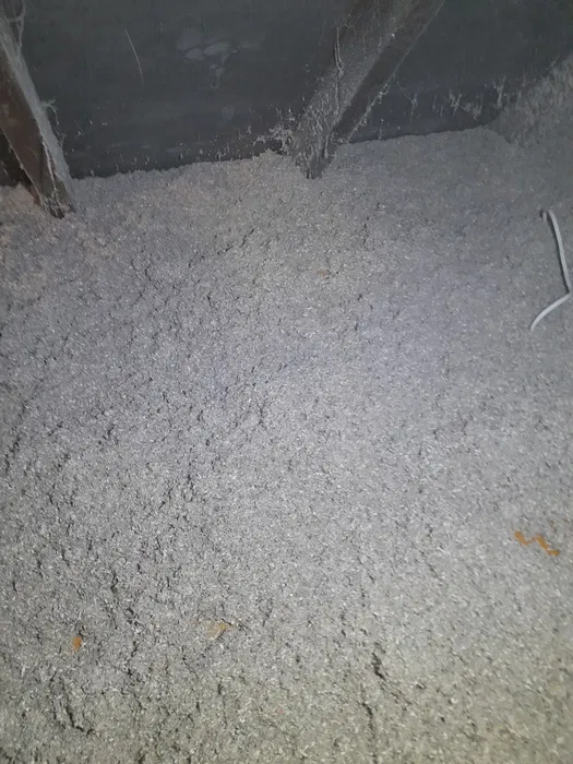 Wdmuchiwanie celulozy adaptacje poddaszy badanie kamerą termowizyjną