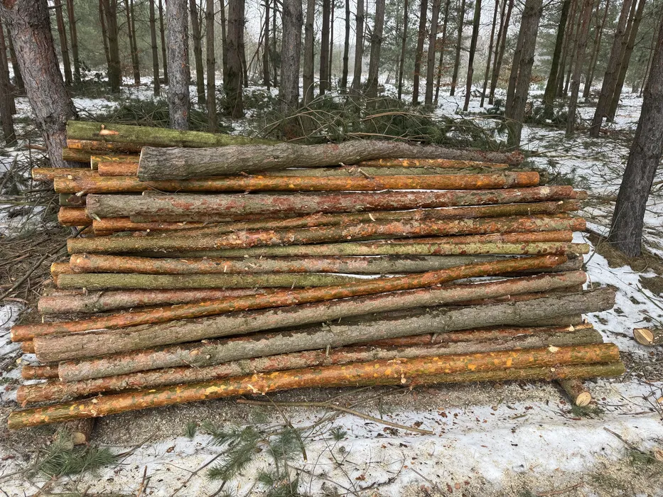 Albud-wynajem szalunków,Auto laweta pomoc drogowa,usługi hds.