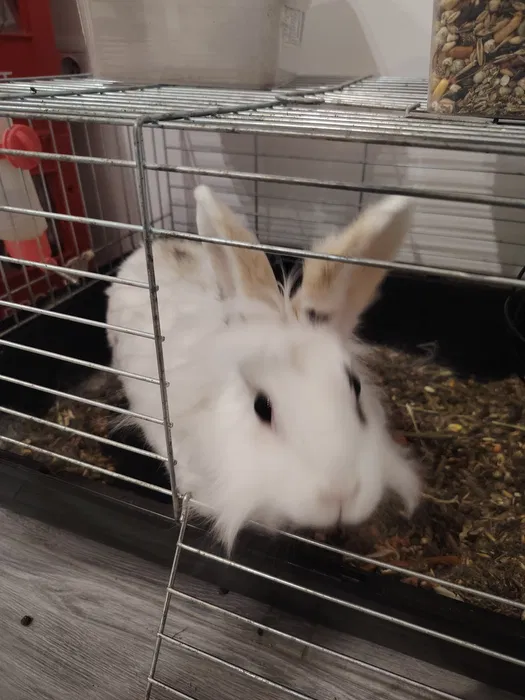 Wynajem rusztowania warszawskie