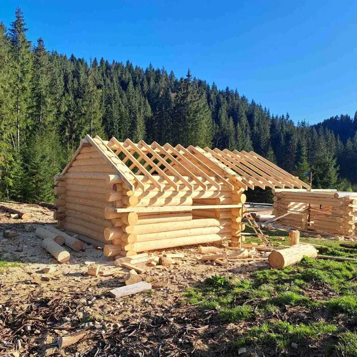 Domy z bali świerkowych. Bale naturalne. Cała Polska.