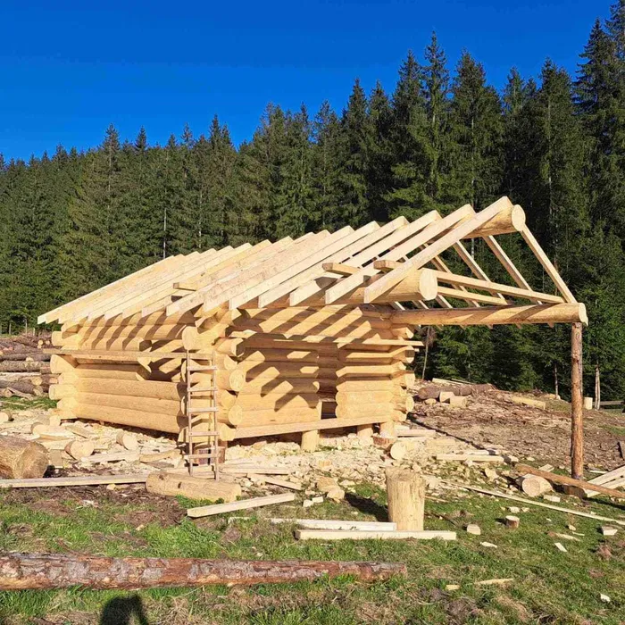 Domy z bali świerkowych. Bale naturalne. Cała Polska.