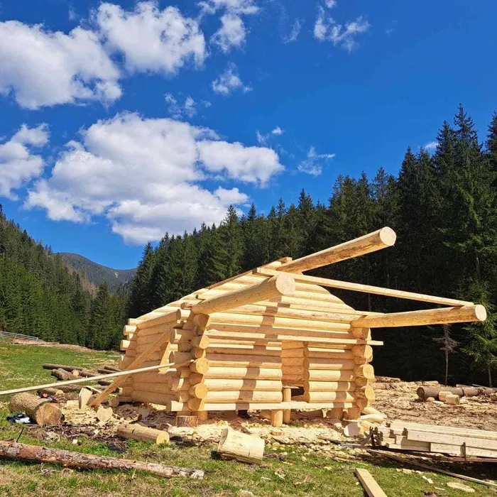Domy z bali świerkowych. Bale naturalne. Cała Polska.