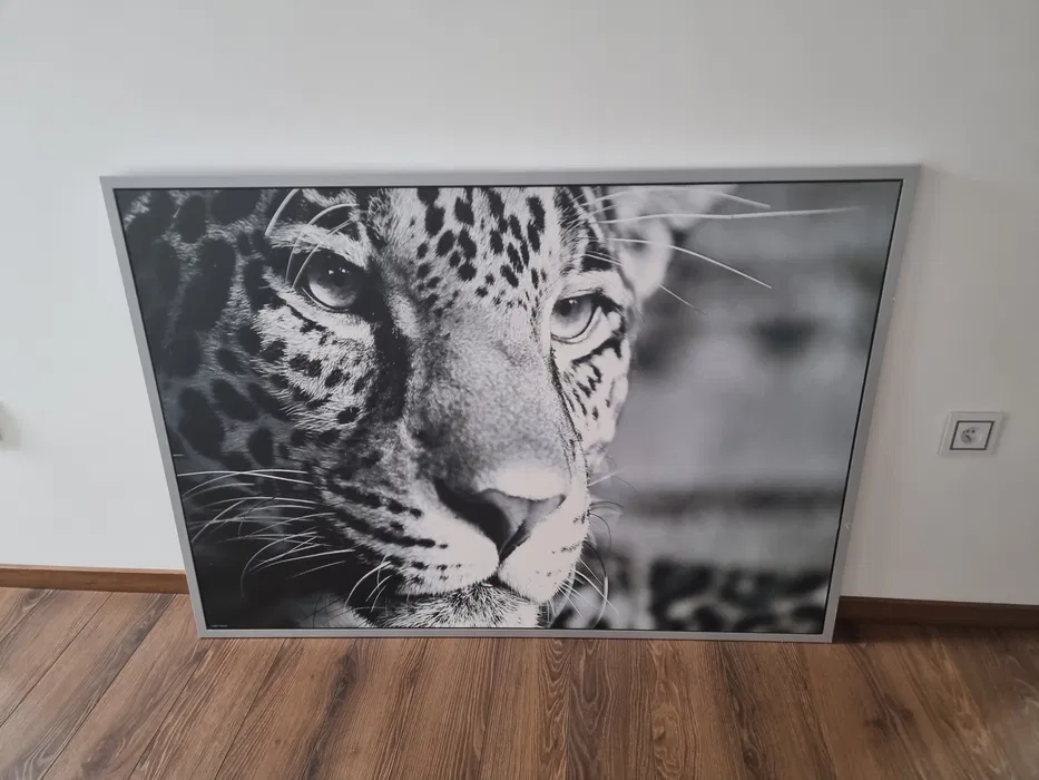 Wynajem szalunku stropowego stemple Siedlce Waw Łukow Garwolin