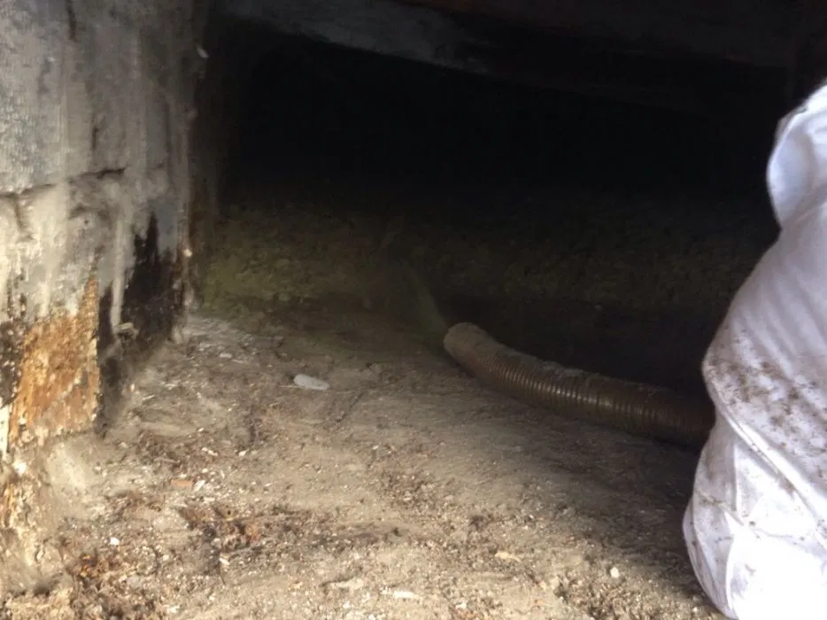 Docieplenie metodą wdmuchiwania (celuloza, wełna mineralna,termowizja