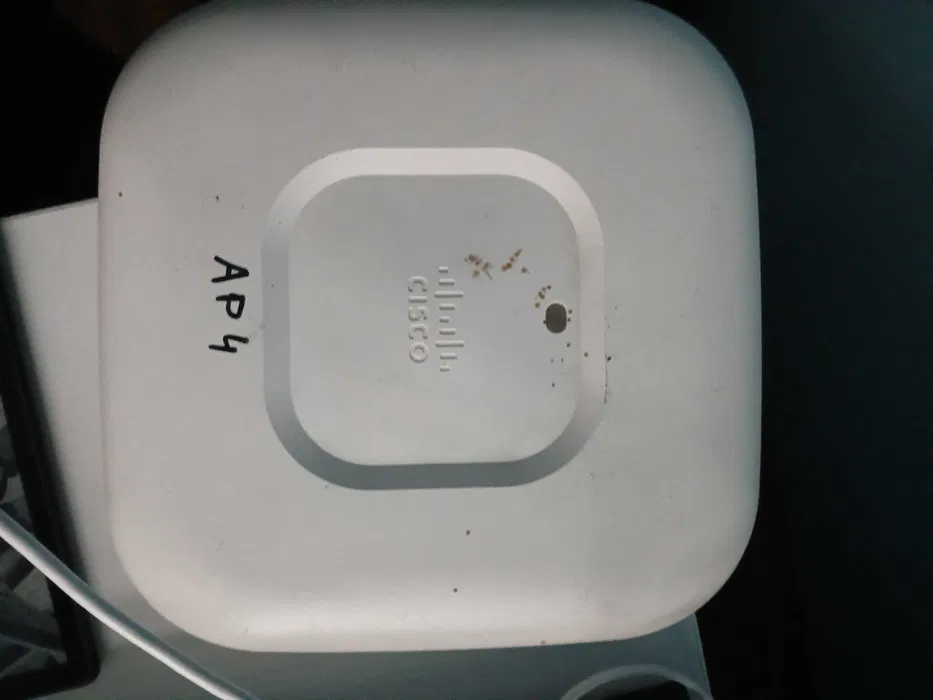 Tanio wynajem rusztowania warszawskiego