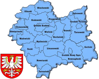 Usługi geodezyjne, geodezja, geodeta, pomiary geodezyjne, tyczenie