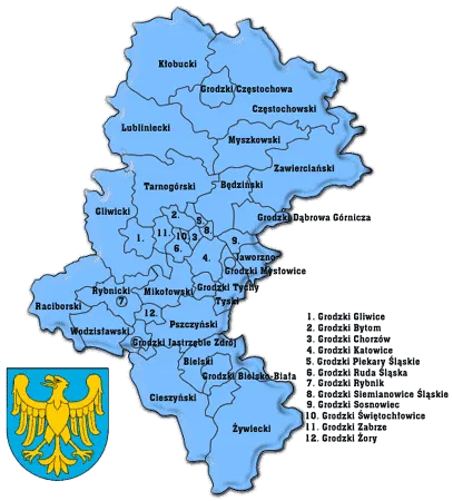 Usługi geodezyjne, geodezja, geodeta, pomiary geodezyjne, tyczenie