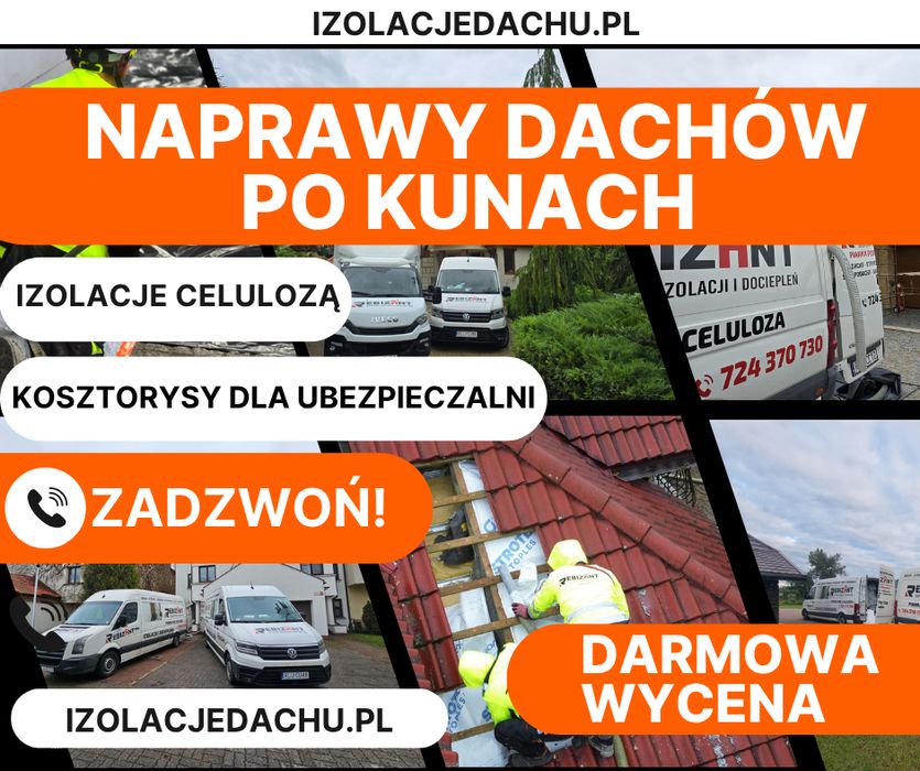 Naprawy dachów po kunach / kuna na dachu / Izolacje pianą i celulozą