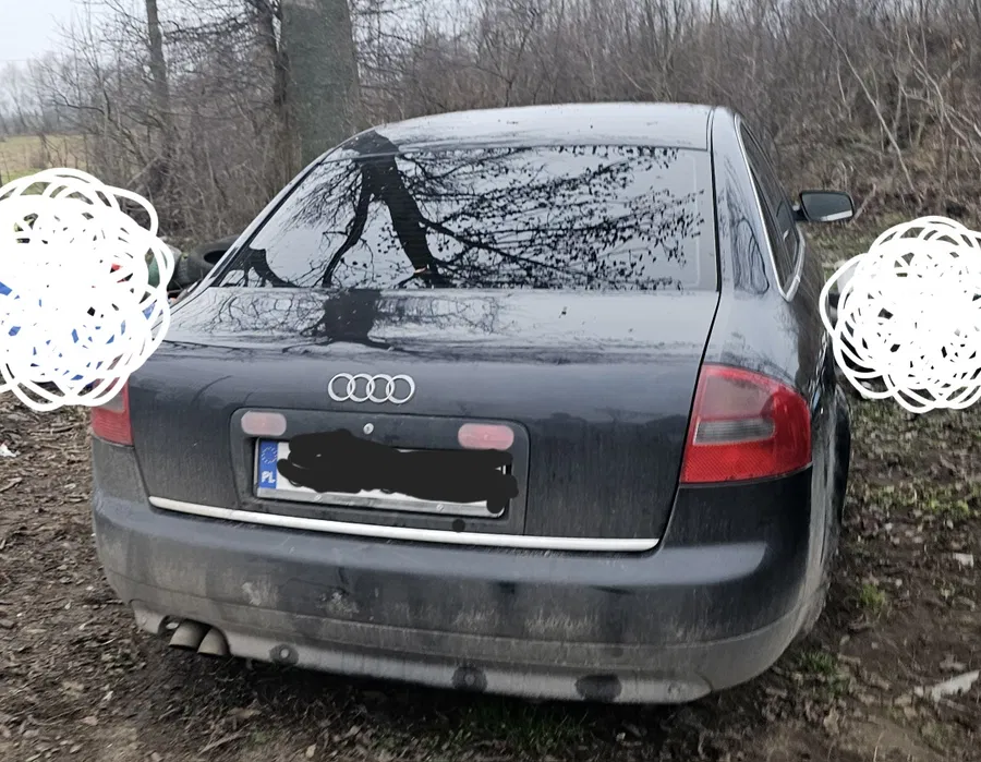 Usługi tynkarskie