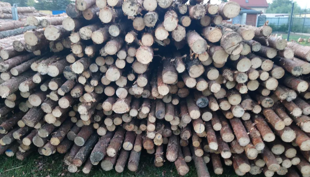 Wynajem Wypożyczalnia SZALUNKI Stropowe Podpory_Stemple PERI-Warszawa