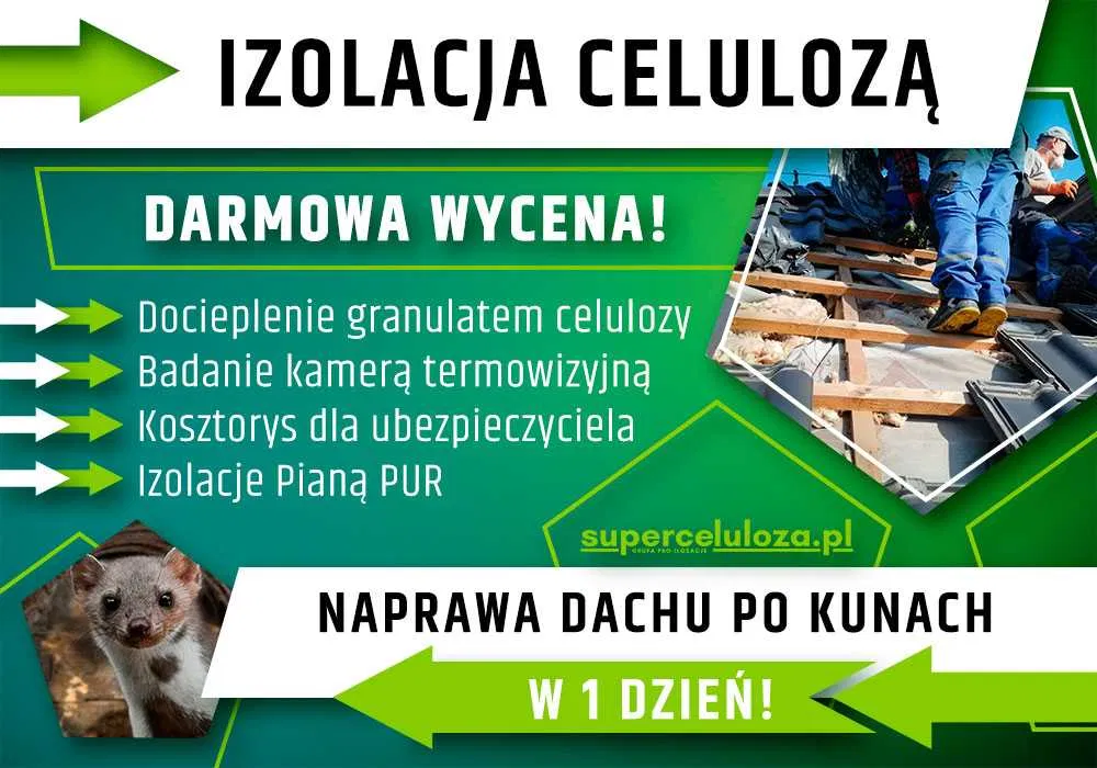 Zwalczanie kuny | Wdmuchiwanie celulozy | CELULOZA | KUNY