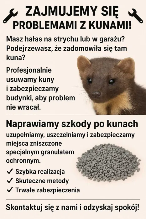 Naprawa szkód po kunach, izolacja celulozą