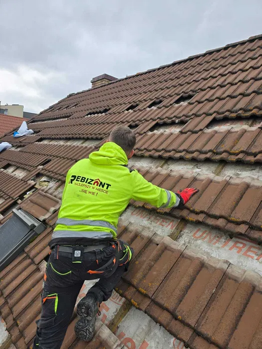 Naprawy dachów po kunach / kuna na dachu / Izolacje pianą i celulozą