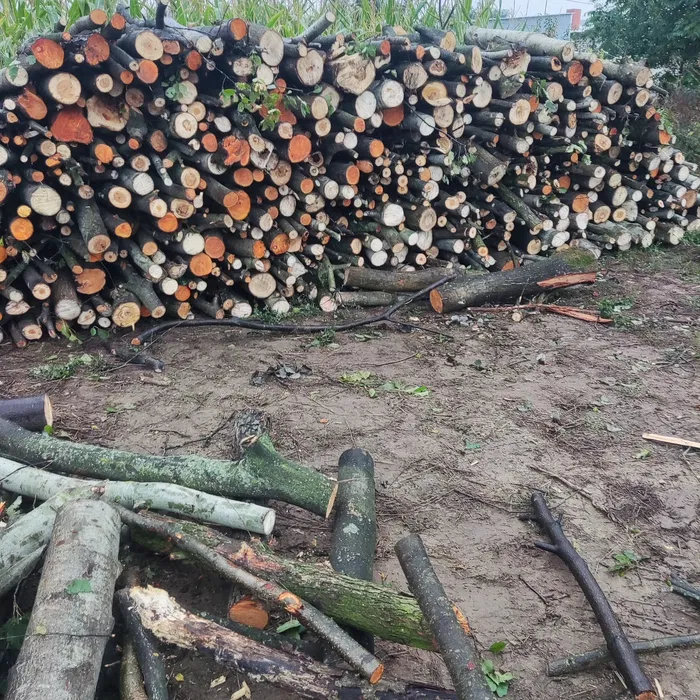 Wypożyczalnia szalunków budowlanych Szalunki stropowe podpory dźwigary