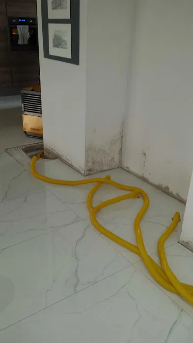 Osuszanie po zalaniu, Ozonowanie pomieszczeń, Wynajem osuszaczy
