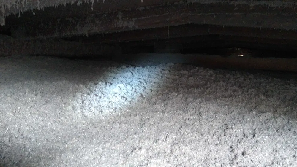 Ocieplenie celulozą ,naprawy po kunach , zabudowy g-k , termowizja