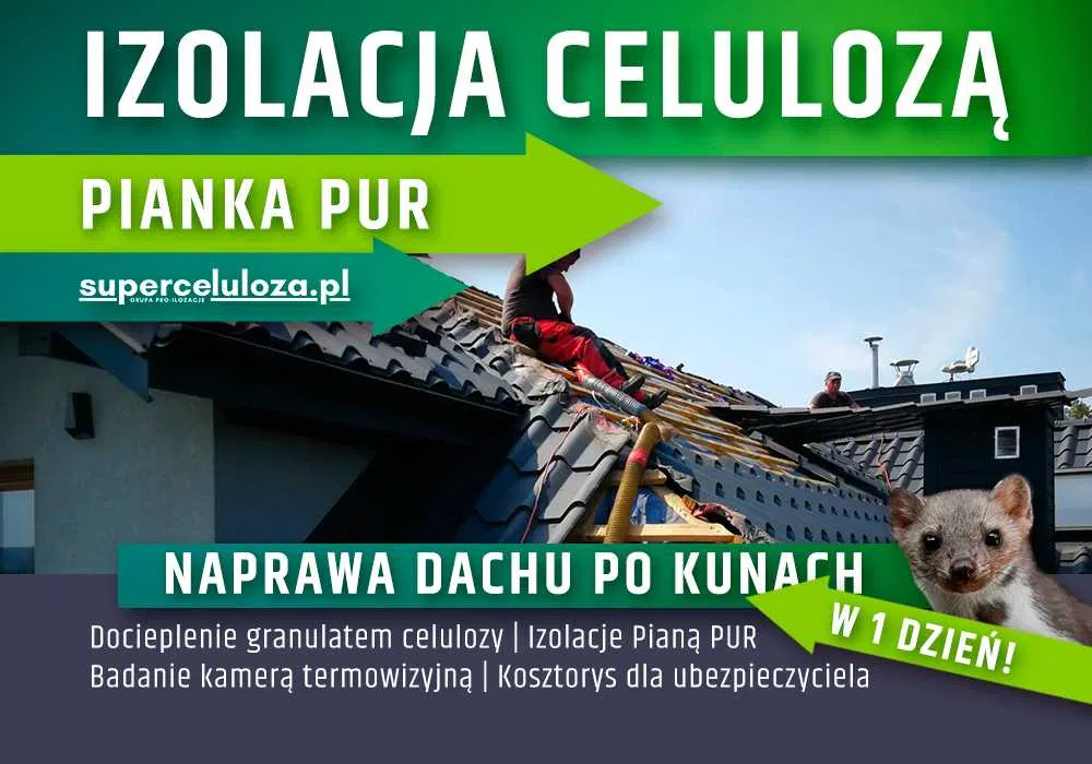 Naprawa izolacji po kunie | Wdmuchiwanie celulozy | UBEZPIECZENIE