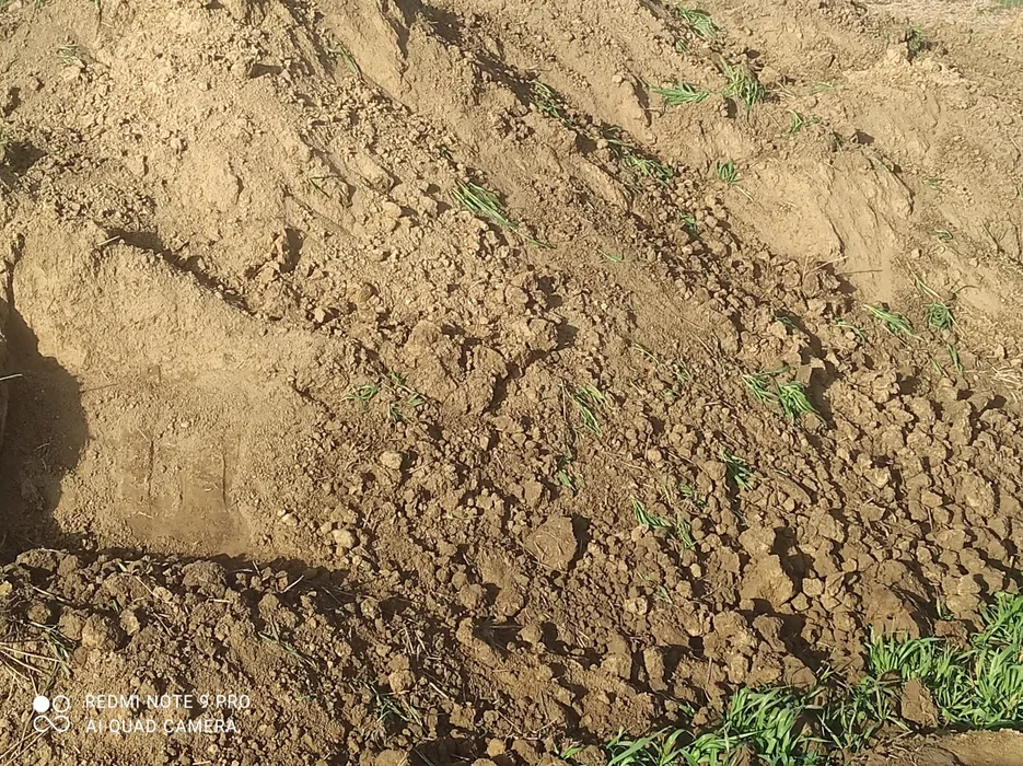 Wypożyczalnia szalunków stropowych sprzętu budowlanego elektronarzędzi