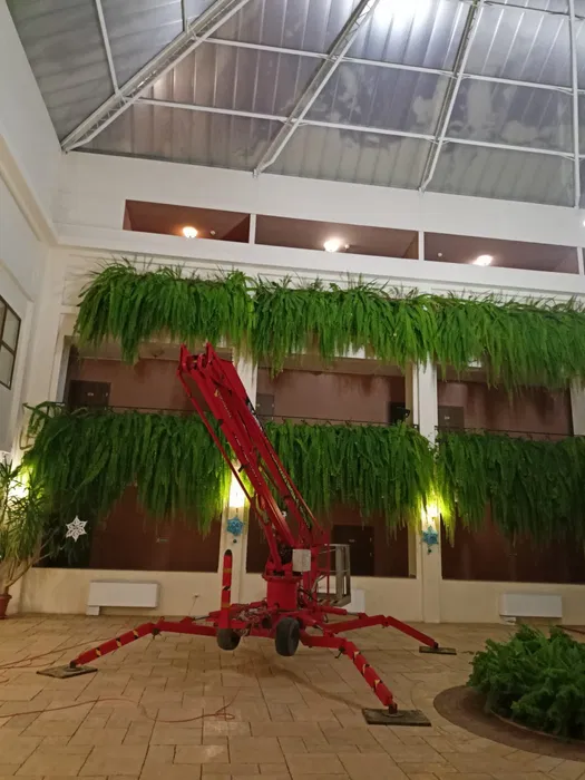 Zwyżka wynajem na doby 15m | 17m | 25m - Rzeszów, Przemyśl